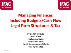 The IFAC Progressive Tax Plan
