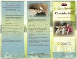 Cow Brochure - Palace of Gold