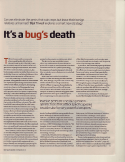It`s a bug`s death