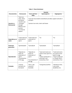 Table 2: Plants Worksheet Characteristics Nonvascular Vascular