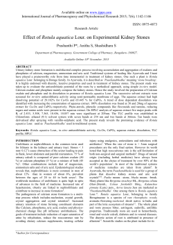 Effect of Rotula aquatica Lour. on Experimental