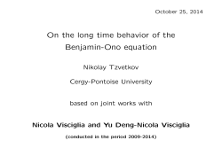 On the long time behavior of the Benjamin