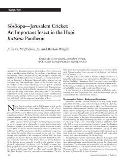 Katsina - American Entomologist