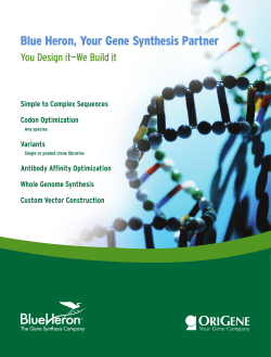 Blue Heron, Your Gene Synthesis Partner