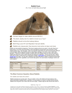 Rabbit Facts - Drs. Foster and Smith