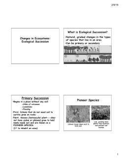 Ecological Succession Notes