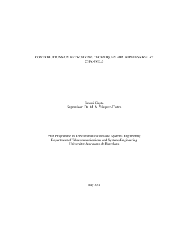 CONTRIBUTIONS ON NETWORKING TECHNIQUES FOR