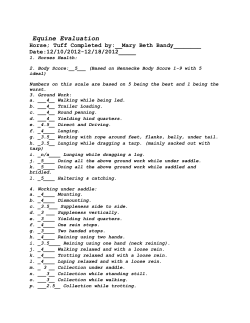 Equine Evaluation - Four Corners Equine Rescue