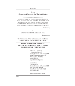 Brief amici curiae of Former Federal and Local