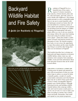 Backyard Wildlife Habitat and Fire Safety - City of Flagstaff
