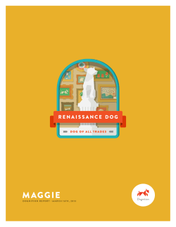 maggie - Dognition