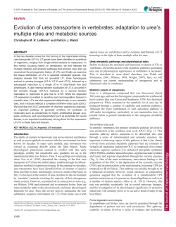 Evolution of urea transporters in vertebrates: adaptation to urea`s