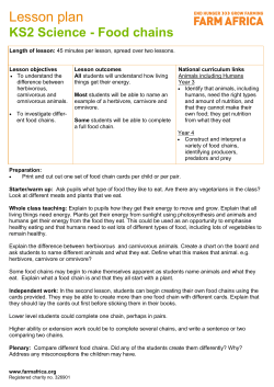 KS2 Science - Food chains
