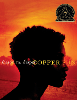 Copper Sun - Lowe`s Grove Navigators