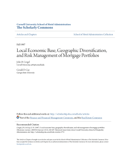 Local Economic Base, Geographic Diversification, and Risk