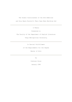 The Double Consciousness of the Afro-American and