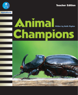Animal Champions