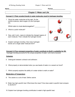 Chapter 3: Water and Life