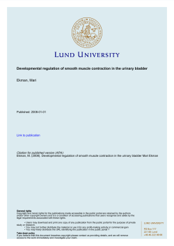 Developmental regulation of smooth muscle