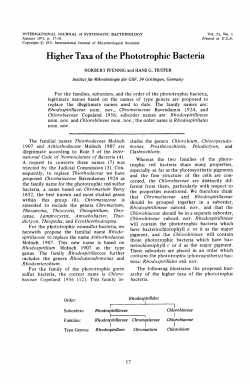 Higher Taxa of the Phototrophic Bacteria