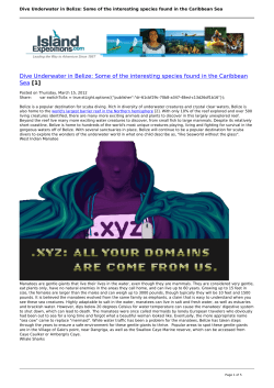 Dive Underwater in Belize: Some of the