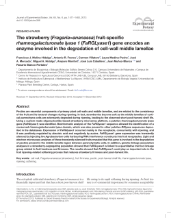 The strawberry (Fragaria&times;ananassa) fruit-specific