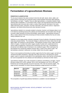 Fermentation of Lignocellulosic Biomass