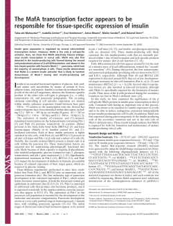 The MafA transcription factor appears to be responsible for tissue