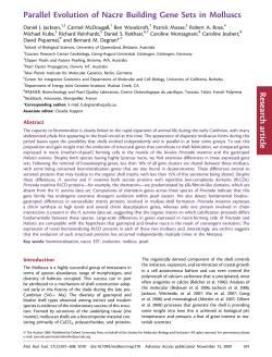 Parallel Evolution of Nacre Building Gene Sets in