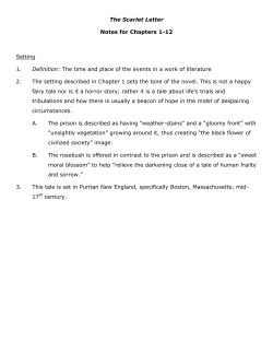 The Scarlet Letter Notes for Chapters 1