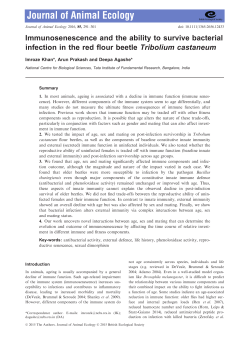 Immunosenescence and the ability to survive bacterial infection in