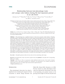Relationship between leaf physiologic traits and canopy color