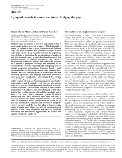 Lymphatic vessels in cancer metastasis: bridging
