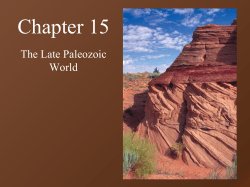 Chapter 15
