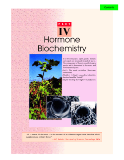 31. animal hormones