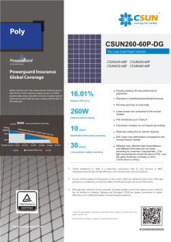 CSUN260-60P-DG 16.01% 260W