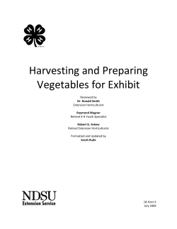Harvesting and Preparing Vegetables for Exhibit