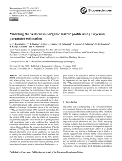 Modeling the vertical soil organic matter profile
