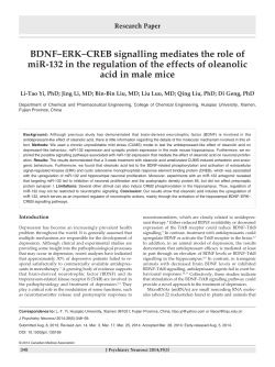 BDNF&ndash;ERK&ndash;CRE Bsignalling mediates the role of miR
