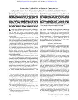 Expression Profile of Active Genes in Granulocytes