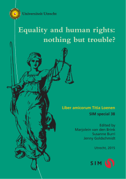 Equality and human rights: nothing but trouble? - Studie