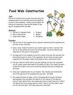 Food Web Construction