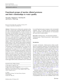 Functional groups of marine ciliated protozoa and their relationships