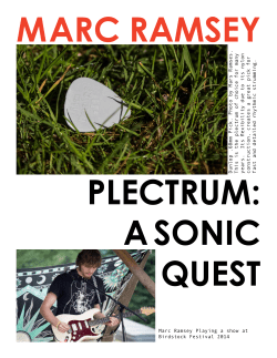 Dunlop .60mm Pick. Photo by Mars Ramses. This is the plectrum of