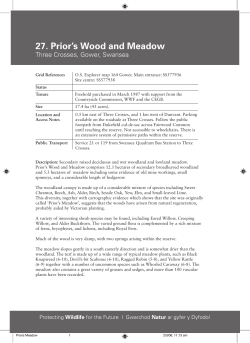 Priors Meadow - The Wildlife Trust of South and West Wales