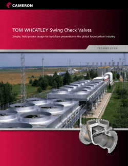 TOM WHEATLEY Swing Check Valves
