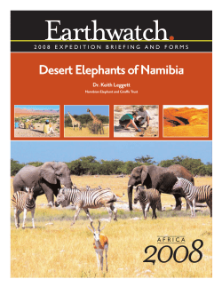 Desert Elephants of Namibia - The