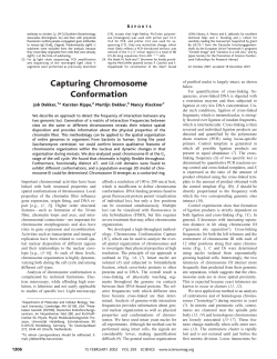 Capturing Chromosome Conformation - Kirchhoff