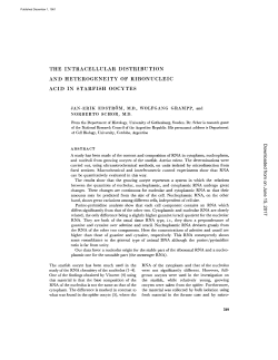 THE INTRACELLULAR DISTRIBUTION AND HETEROGENEITY OF
