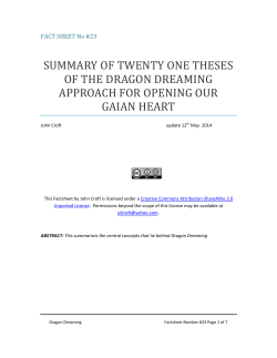 Fact Sheet Number #23 Twenty One Theses of